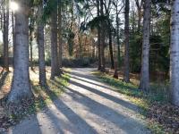 Eikenlaan
